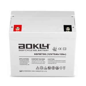Bateria AOKLY 6GFM75G GEL